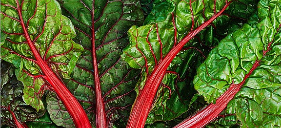 Swiss Chard